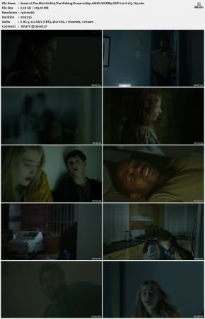 The Mist S01 1080p AMZN WEBRip DDP 2 0 x265-iVy