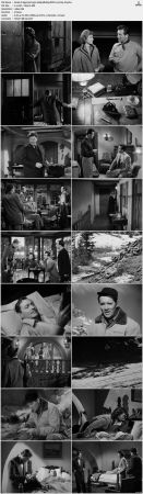 Spy Hunt 1950 1080p BluRay DDP 2.0 H265-iVy