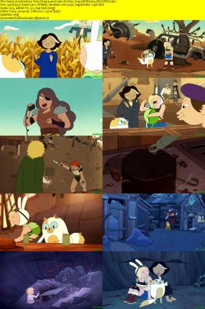 Adventure Time Fionna and Cake S01E05 720p WEB h264-DOLORES