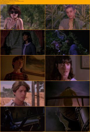 Children of the Corn Collection 1080p BRRip x264 AC3 DiVERSiTY