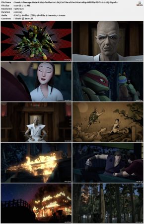 Teenage Mutant Ninja Turtles 2012 S03 1080p WEBRip DDP 2.0 x265-iVy