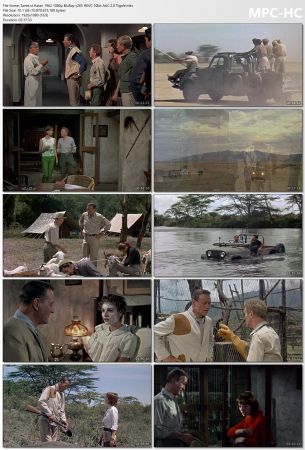 Hatari 1962 1080p BluRay x265 HEVC 10bit AAC 2.0 Tigole