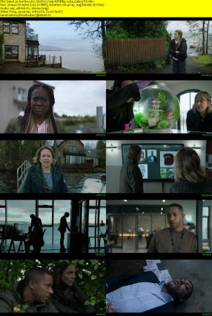 Annika 2021 S02 720p WEBRip x264-GalaxyTV