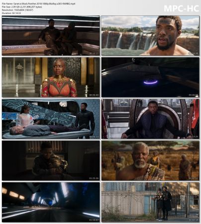 Black Panther 2018 1080p BluRay x265-RARBG