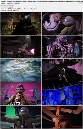 Teenage Mutant Ninja Turtles 2012 S03 1080p WEBRip DDP 2.0 x265-iVy