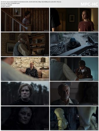 Dark 2017 S02 DUAL-AUDIO GER-ENG 1080p 10bit WEBRip 6CH x265 HEVC-PSA