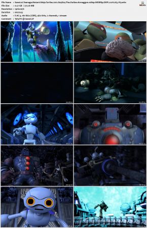 Teenage Mutant Ninja Turtles 2012 S04