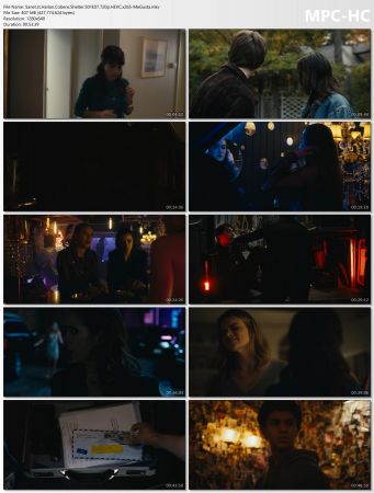 Harlan Cobens Shelter S01E07 720p HEVC x265-MeGusta