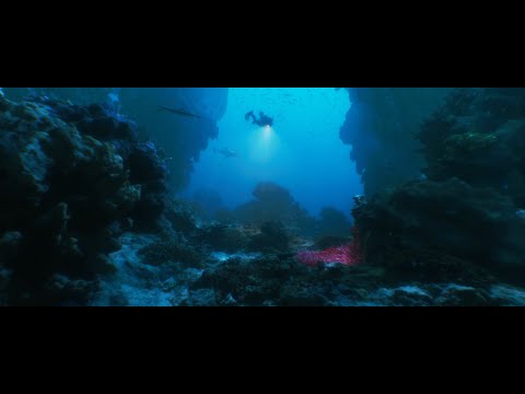 Underwater Blueprint V3