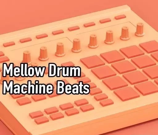 AudioFriend Mellow Drum Machine Beats WAV