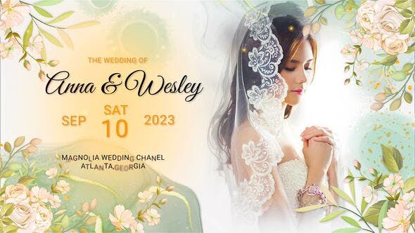 Videohive - Ink Wedding Slideshow - 48671483