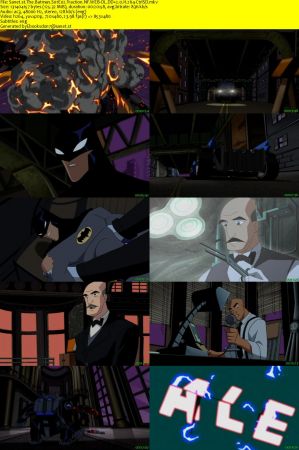 The Batman S01 NF WEB-DL DD2.0 x264-CtrlSD
