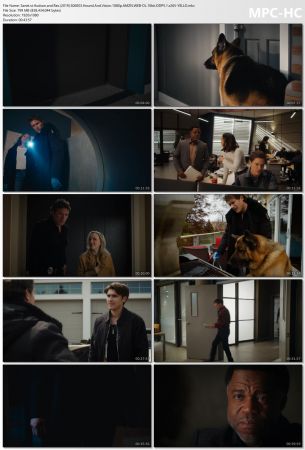 Hudson and Rex 2019 S06E03 1080p AMZN WEB-DL 10bit DDP 5 1 x265 - YELLO