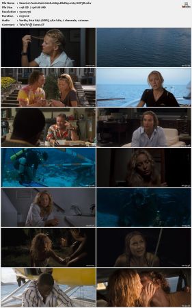 Fools Gold 2008 1080p BluRay x264-SUP3R