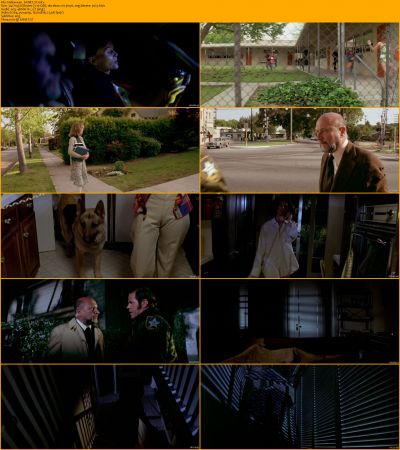 Halloween Collection 1080p BRRip x264 AC3 DiVERSiTY