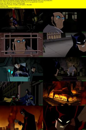 The Batman S04 NF WEB-DL DD2.0 x264-CtrlSD