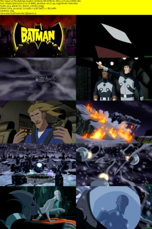 The Batman S04 NF WEB-DL DD2.0 x264-CtrlSD