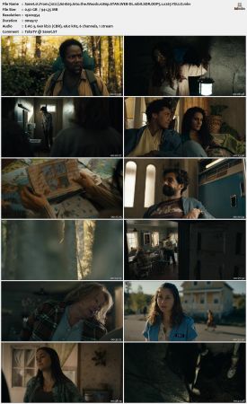 From S01 1080p STAN WEB-DL 10bit SDR DDP5 1 x265-YELLO