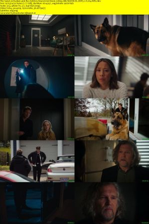 Hudson and Rex S06E03 Hound And Vision 1080p AMZN WEB-DL DDP5.1 H.264-NTb