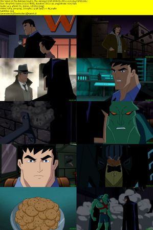 The Batman S04 NF WEB-DL DD2.0 x264-CtrlSD