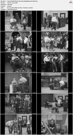 Behind the Screen 1916 1080p BluRay x264-nikt0