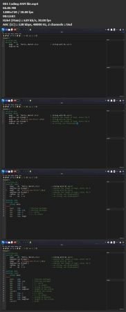 Mastering x86-64 Real Assembly Language from Zero | 2023ASM+