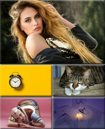 Computer Desktop Wallpapers Collection. Part (2953)