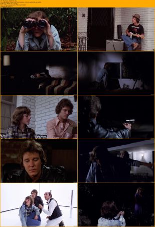 Phantasm Collection 1080p BRRip x264 AC3 DiVERSiTY