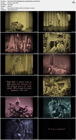The Thief of Bagdad 1924 1080p BluRay x264-nikt0