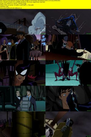 The Batman S03 NF WEB-DL DD2.0 x264-CtrlSD