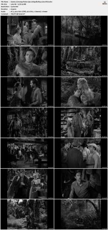 Swamp Water 1941 1080p BluRay x264-nikt0