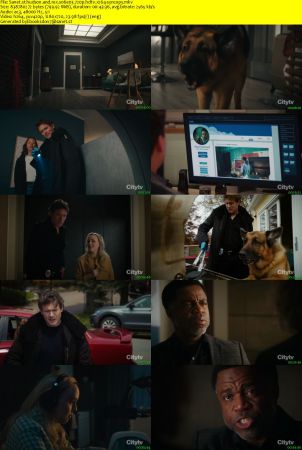 Hudson and Rex S06E03 720p HDTV x264-SYNCOPY