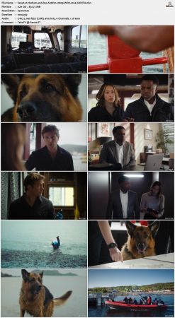 Hudson and Rex S06E01 1080p WEB x264-SOiNTA
