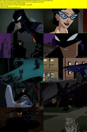 The Batman S01 NF WEB-DL DD2.0 x264-CtrlSD