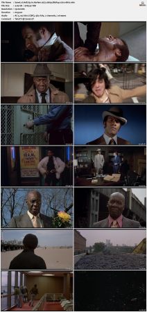 Hell Up In Harlem 1973 1080p BluRay x264-nikt0