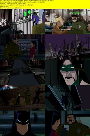 The Batman S02 NF WEB-DL DD2.0 x264-CtrlSD
