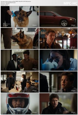 Hudson and Rex S06E02 720p HEVC x265-MeGusta