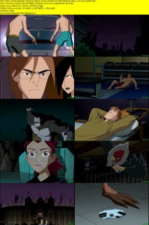 The Batman S05 NF WEB-DL DD2.0 x264-CtrlSD