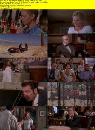 Trial And Error 1997 480p DvdRip X264 Will1869