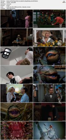 Little Shop of Horrors 1986 DC 1080p BluRay x264-SUP3R