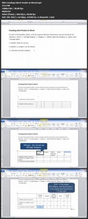 Statistics / Data Analysis: Survey Data and Likert Scales