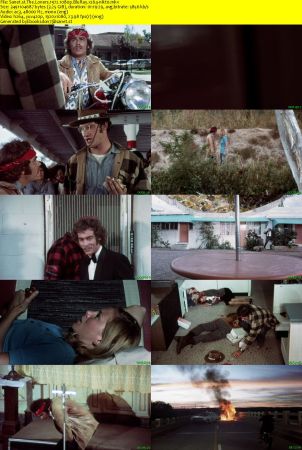 The Loners 1972 1080p BluRay x264-nikt0