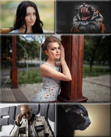 LIFEstyle News MiXture Images. Wallpapers Part (1995)