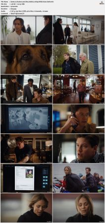 Hudson and Rex S06E02 1080p WEB H264-Z00N