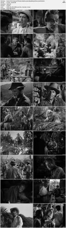 The Treasure Of The Sierra Madre 1948 1080p BluRay Vorbis x264-SUP3R