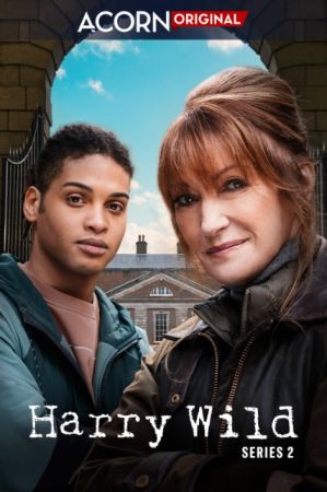 Harry Wild S02E04 1080p AMZN WEB-DL H264-Kitsune