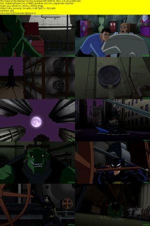 The Batman S02 NF WEB-DL DD2.0 x264-CtrlSD