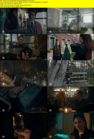 SurrealEstate S02E04 WEB h264-TVD