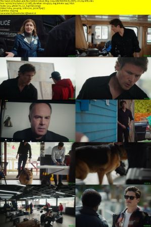 Hudson and Rex S06E01 Ghost Ship 720p AMZN WEB-DL DDP5.1 H.264-NTb