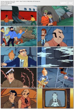 Adventures of Tintin 1991 S02 1080p BluRay x265 HEVC 10bit EAC3 2.0 Garshasp QXR